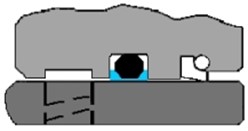 FluoroCap™ Rod Seal Assembly