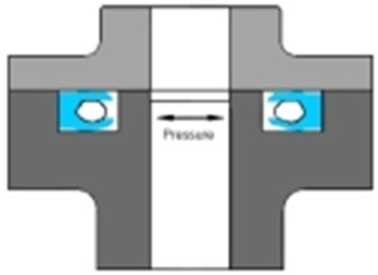 Static FluoroFlex™ Internal Seal